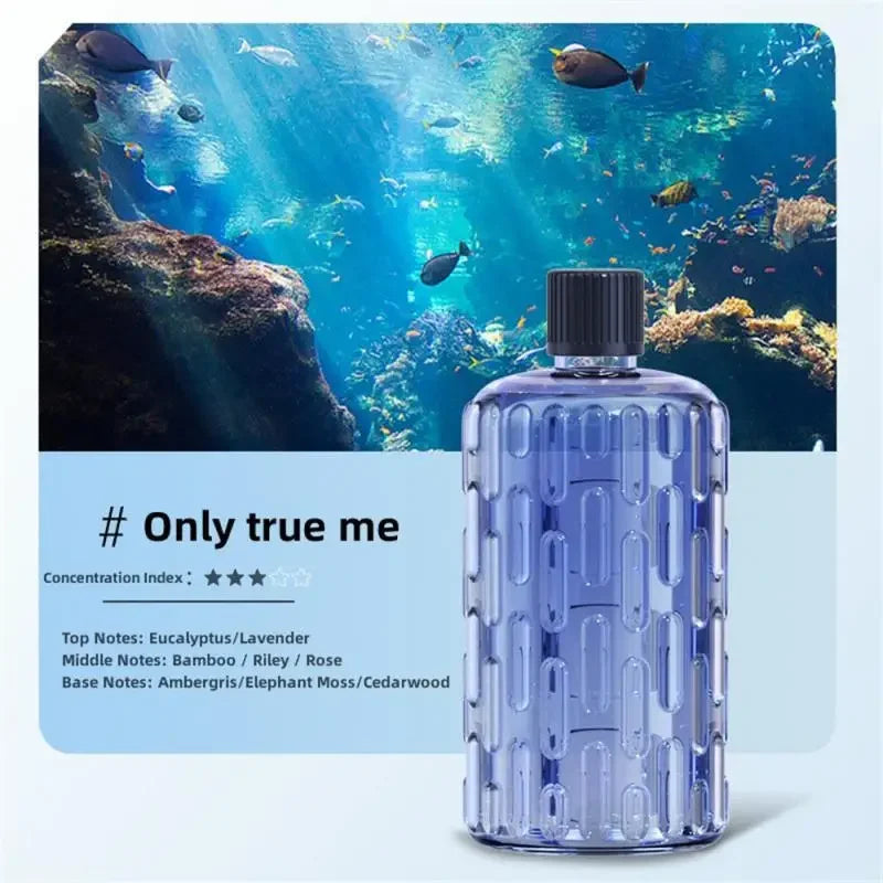 Diffuseur Aromatique Élégant