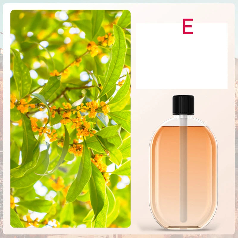 Diffuseur Parfumé Automatique
