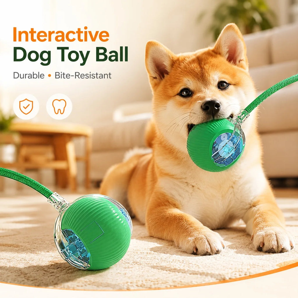 Balle Interactive Intelligente