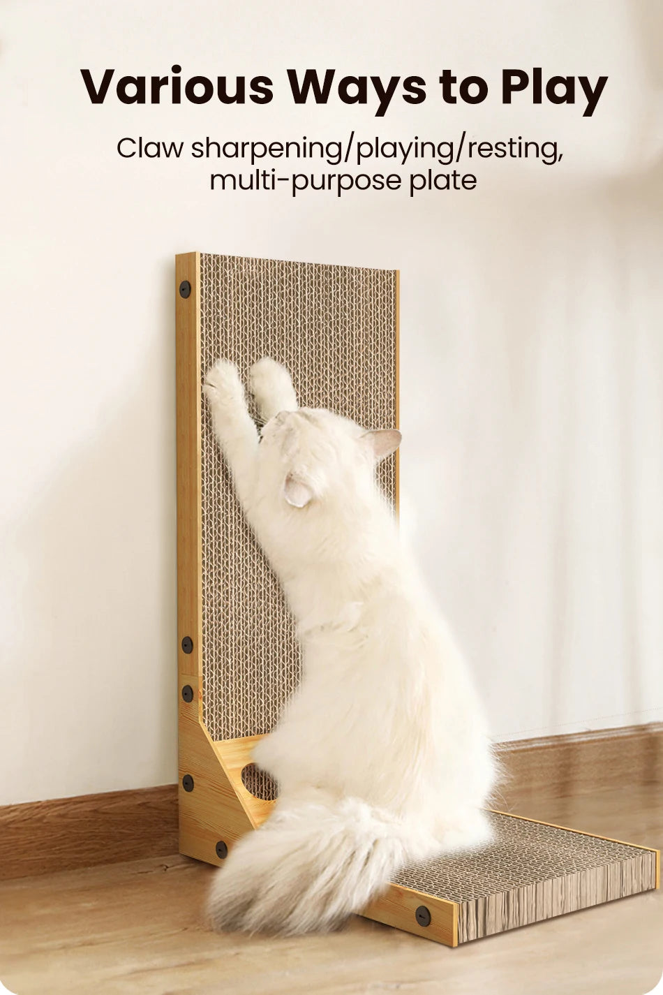 Griffoir L ROJECO pour Chat