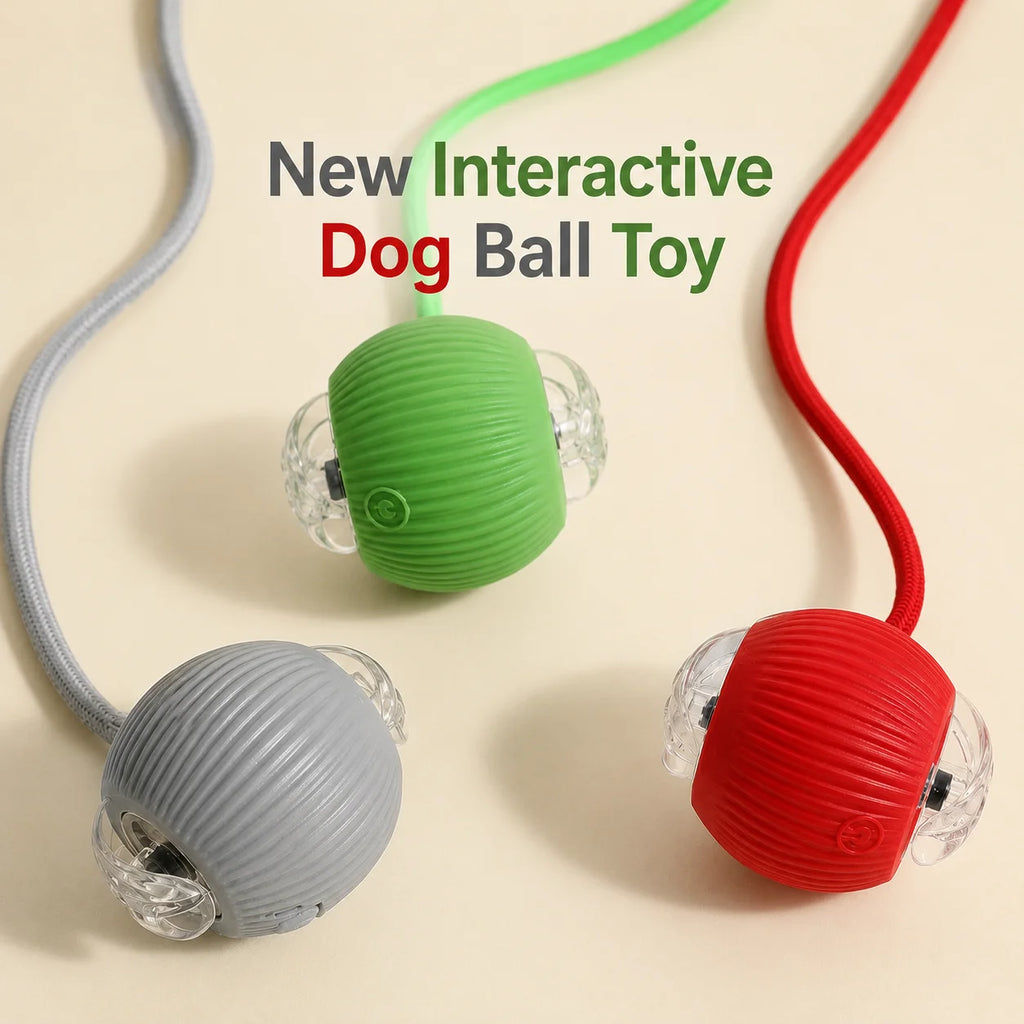 Balle Interactive Intelligente