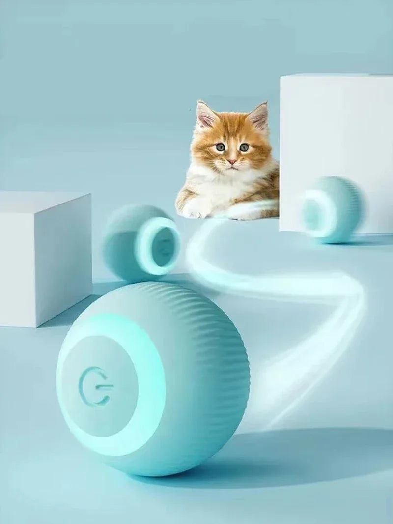 Balle Intelligente Pour Chat
