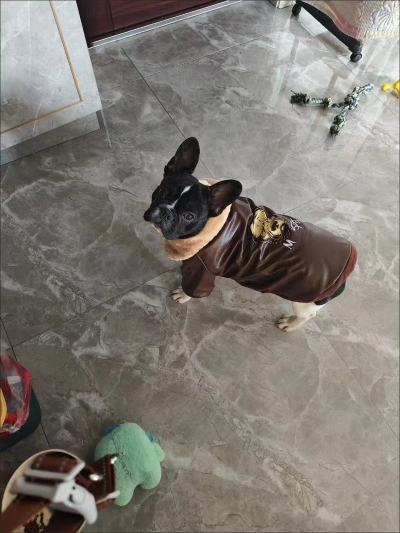 Manteau Hiver Pour Chien