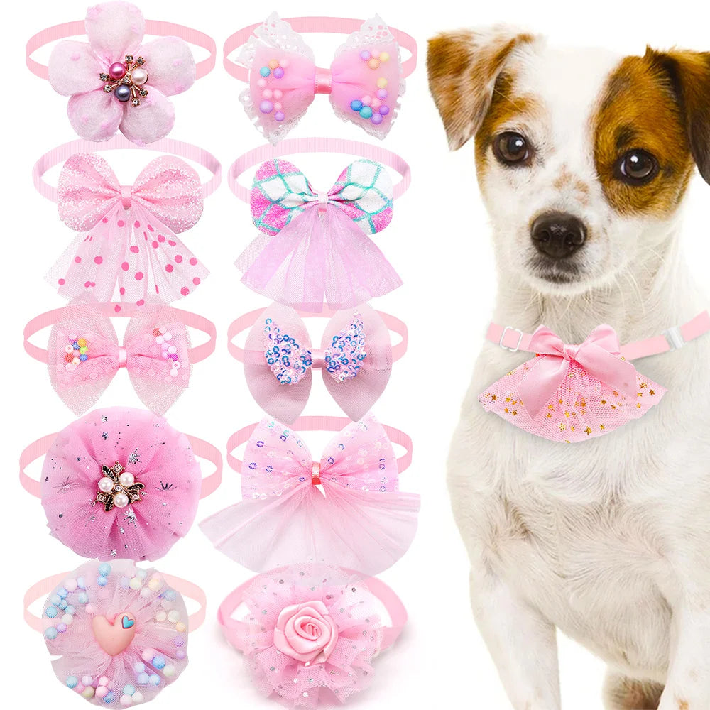 Nœuds Élégants Pour Animaux