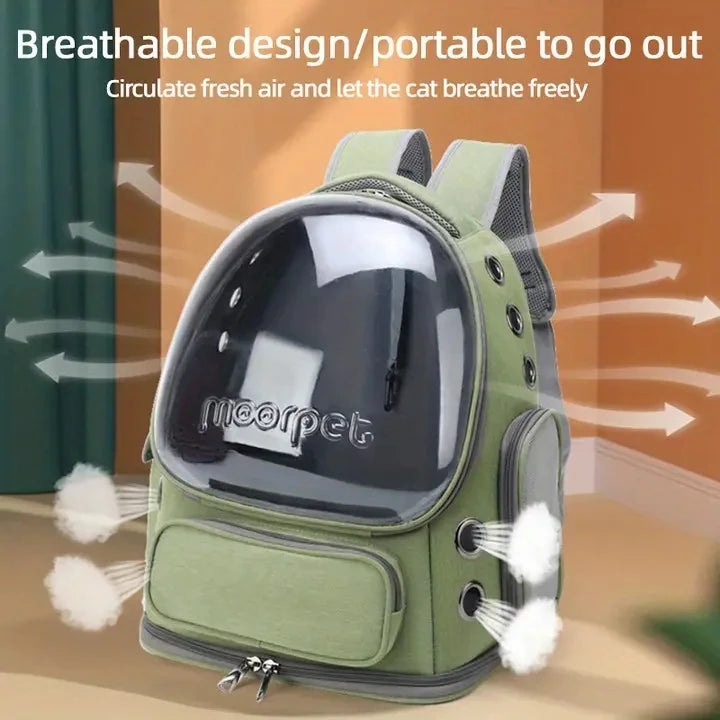 Sac Bubble Transport Chat