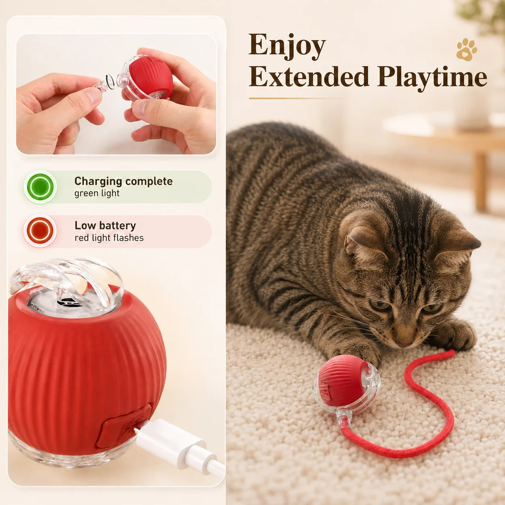 Jolie Balle Intelligente Pour Chat