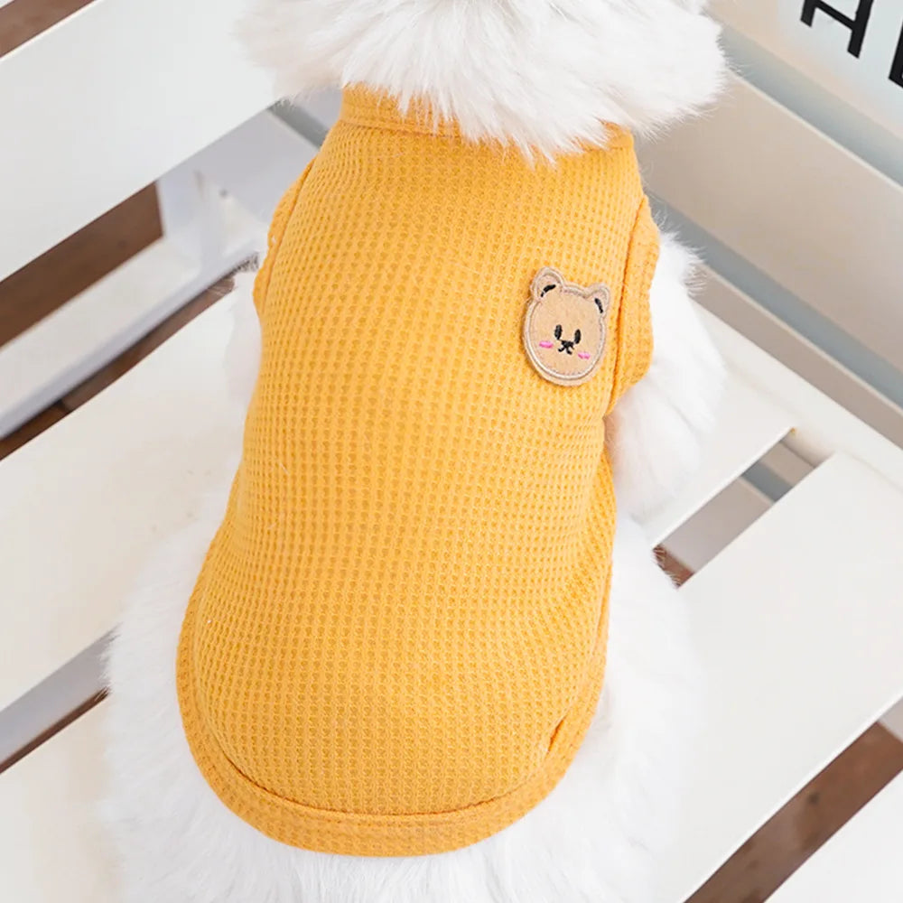 Gilet Ours Douillet Pour Chat