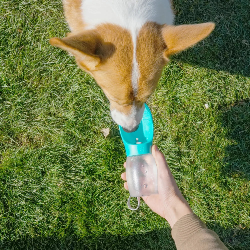 Gourde 300ML Pour Animaux