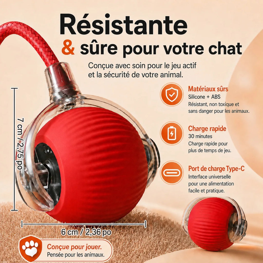 Jolie Balle Intelligente Pour Chat