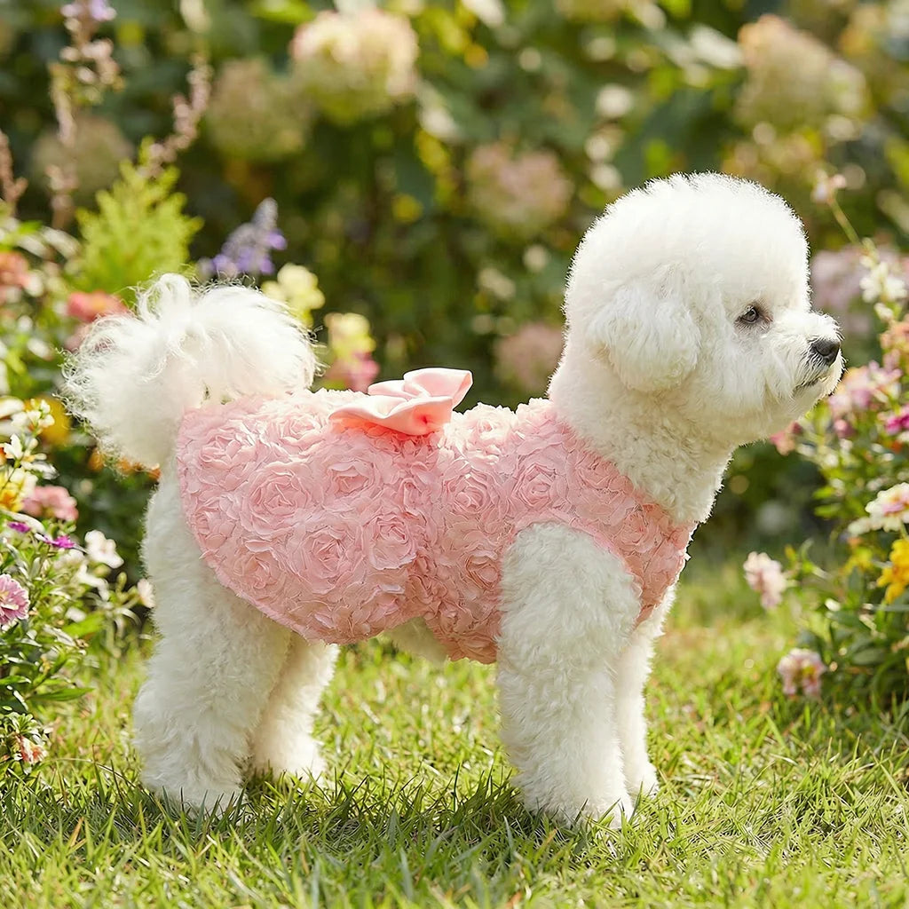 Robe Princesse Fleurie