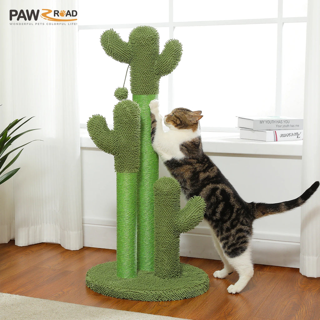 Griffoir Cactus Pour Chat