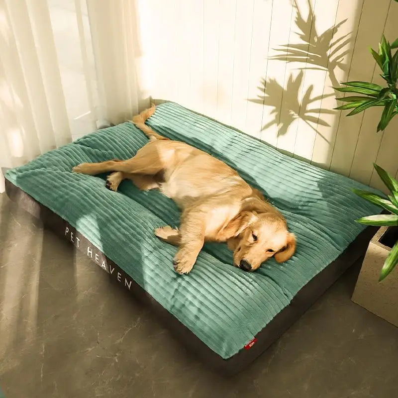 Grand Coussin Douillet Pour Chien
