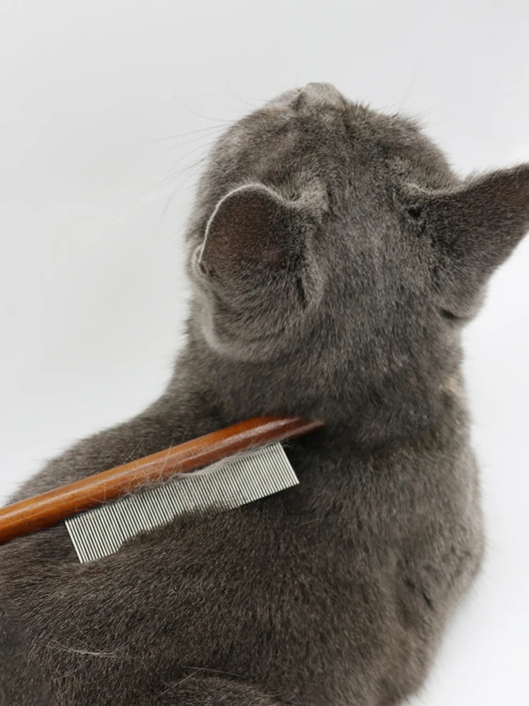 Peigne Démêlant Pour Chat