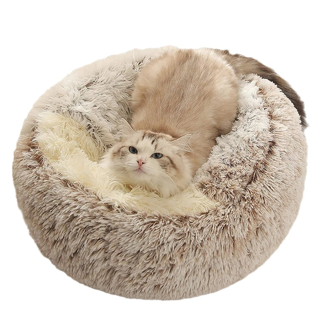 Nid Douillet Pour Chat