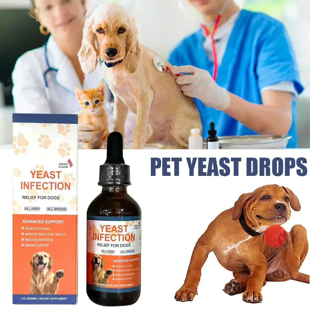 Gouttes Beauté Pour Chien